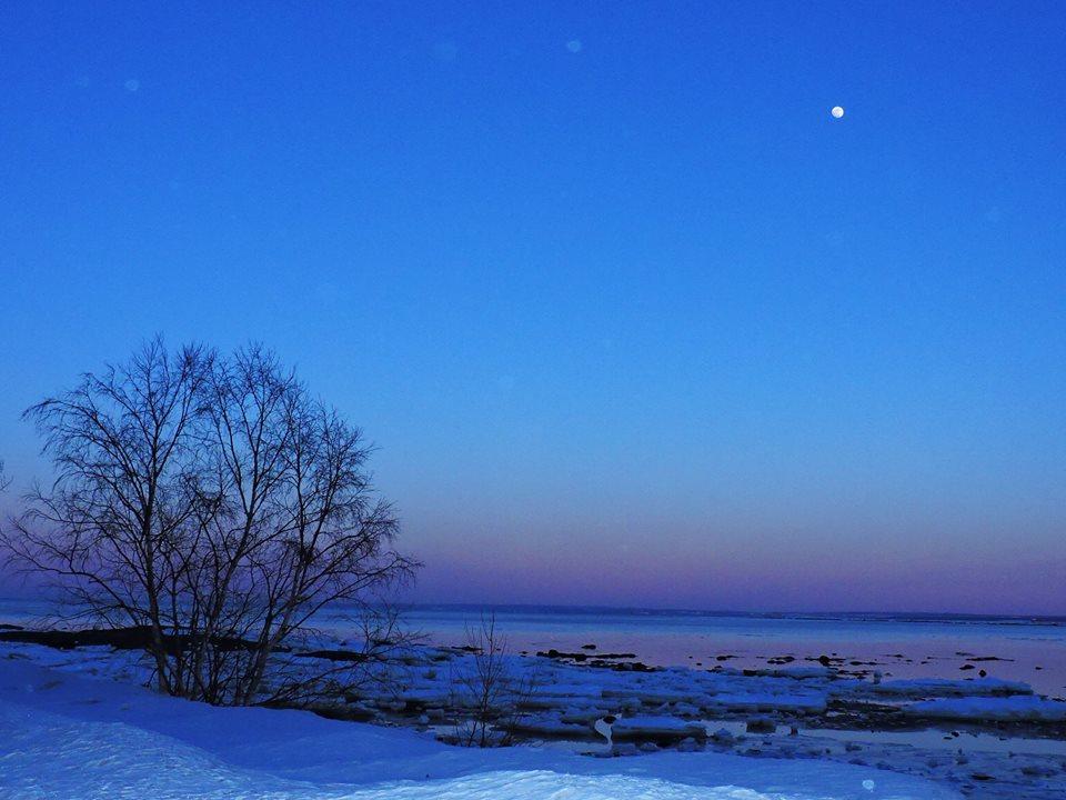 Motel De La Pointe Aux Bouleaux Baie-Sainte-Catherine Exteriör bild