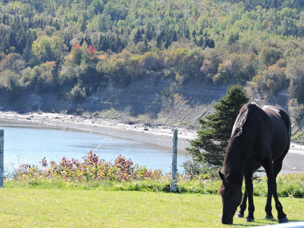 Motel De La Pointe Aux Bouleaux Baie-Sainte-Catherine Exteriör bild